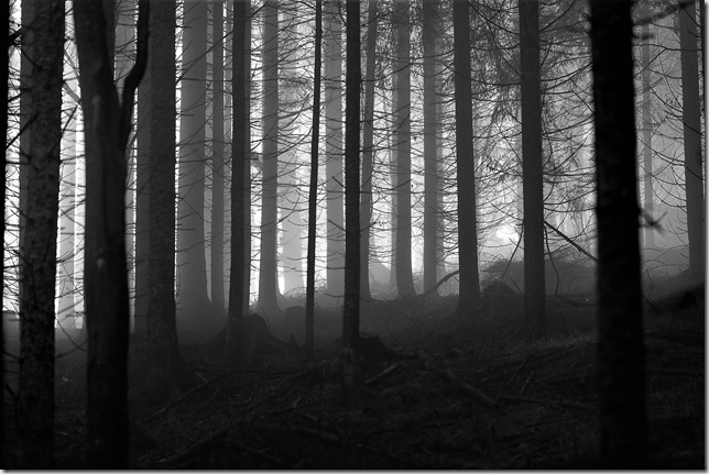 Eisenkappel im November-7 (2) Eisenkappel im November-7 (2)