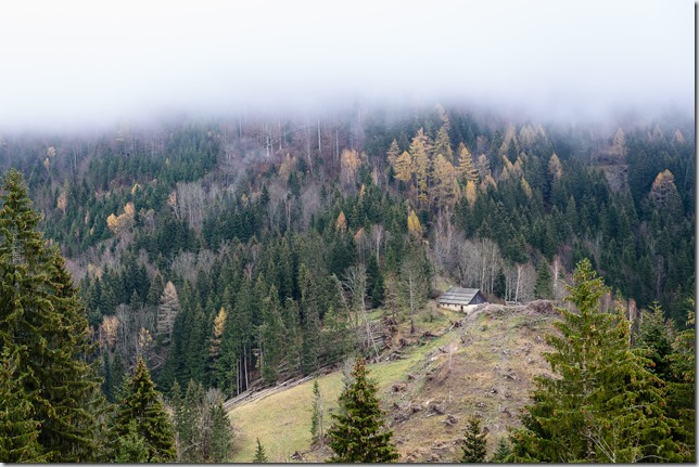 Eisenkappel im November-9