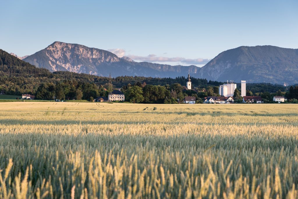 Landschaftsfoto: Das Bild zeigt ein fast erntereifes Feld mit einer Kirche einem Wald und Bergen im Hintergrund