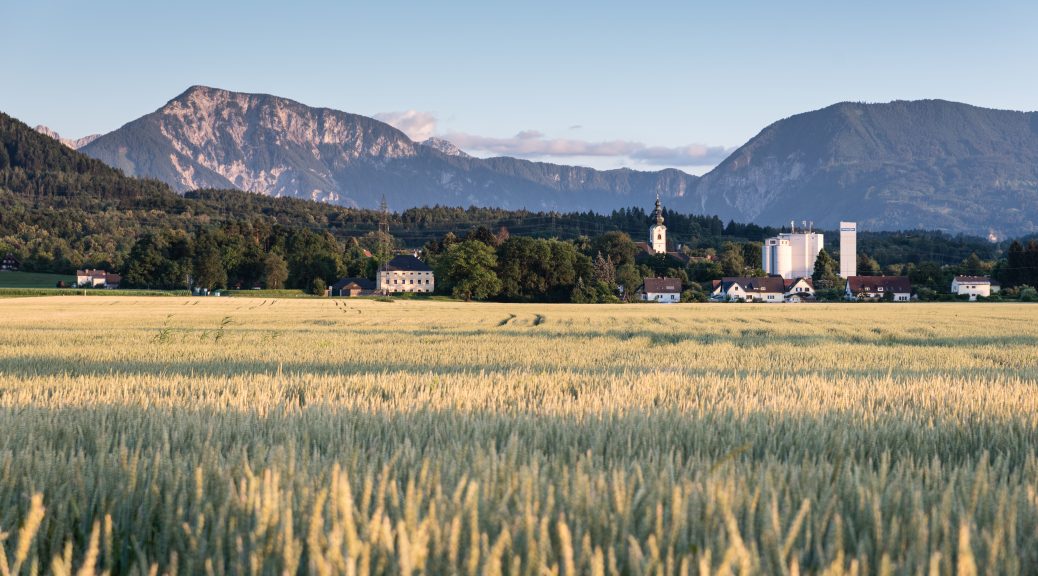 Landschaftsfoto: Das Bild zeigt ein fast erntereifes Feld mit einer Kirche einem Wald und Bergen im Hintergrund